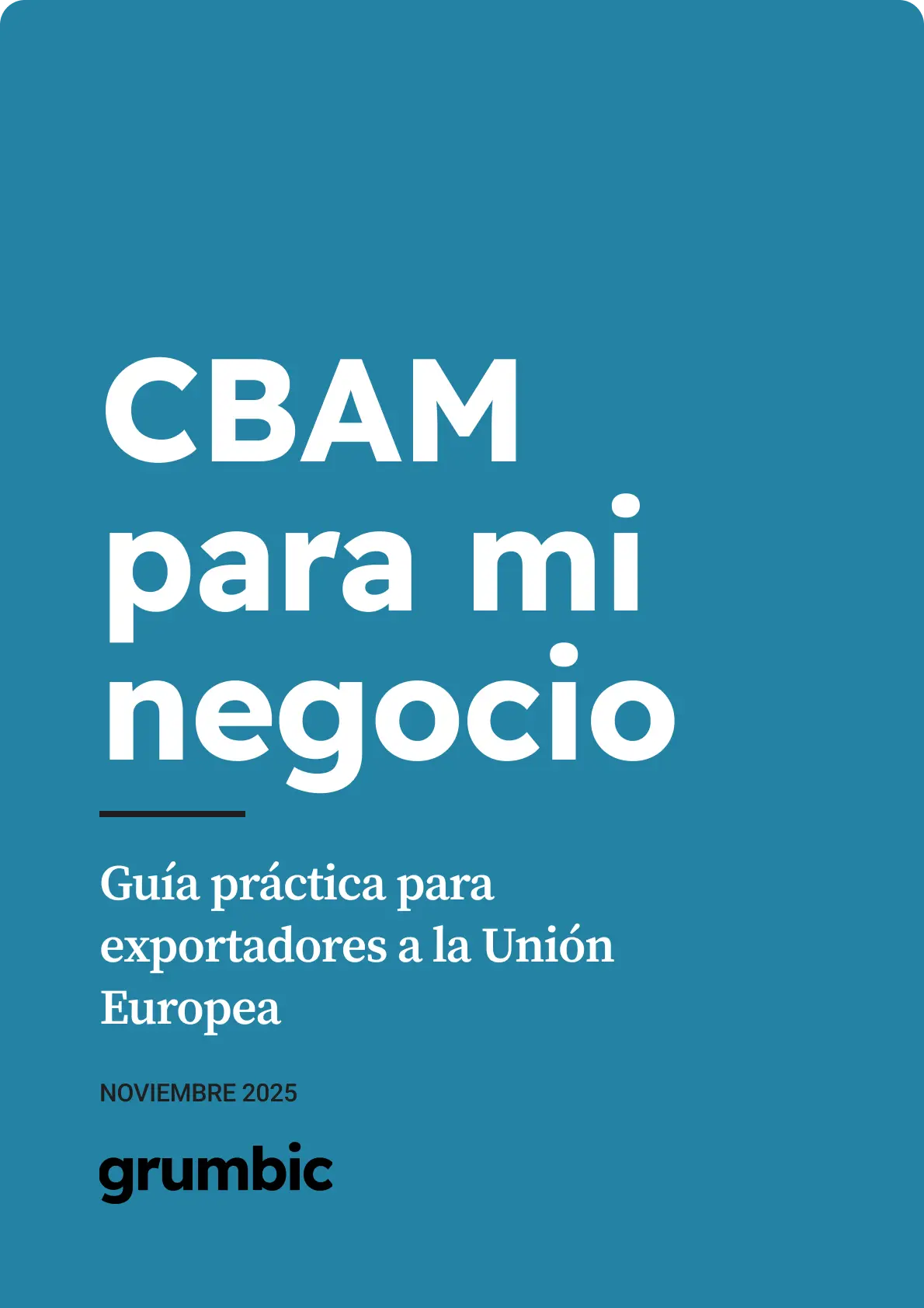 Cover of the CBAM for my business guide